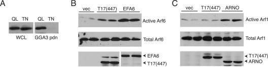 FIG. 6.