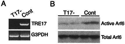 FIG. 10.