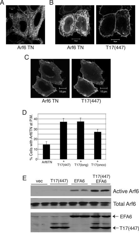 FIG. 8.