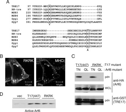 FIG. 9.