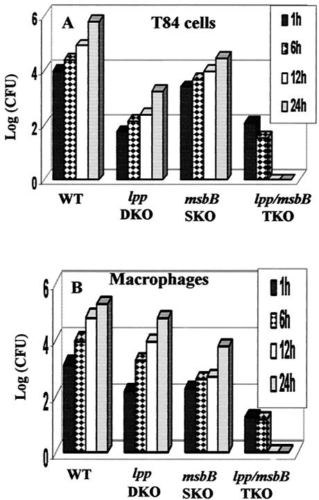 FIG. 7.