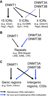 Figure 7