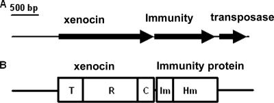 FIG. 1.