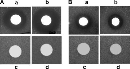 FIG. 8.