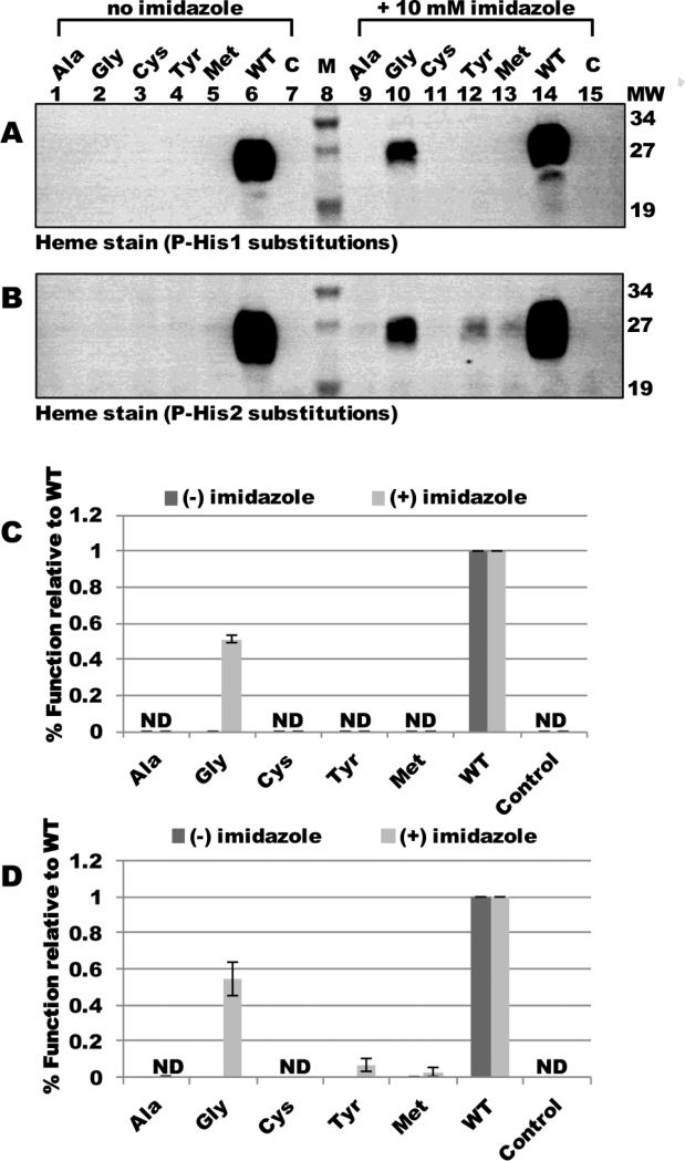 Fig 7