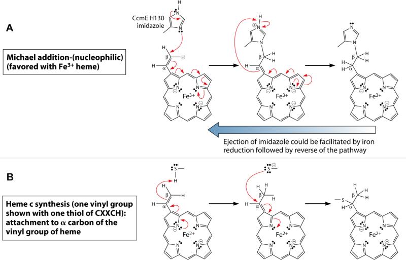 Fig 10