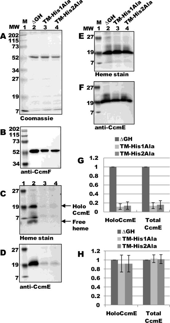 Fig 9