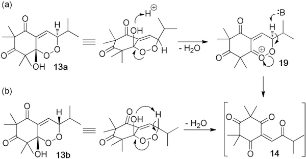 Scheme 4.