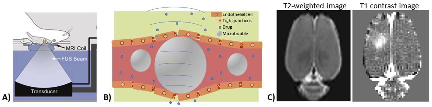 Figure 5.