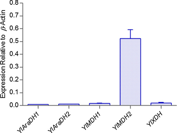 Fig. 4