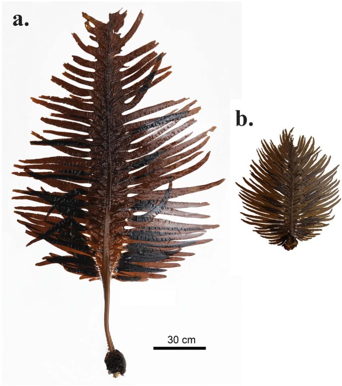 Extended Data Fig. 4