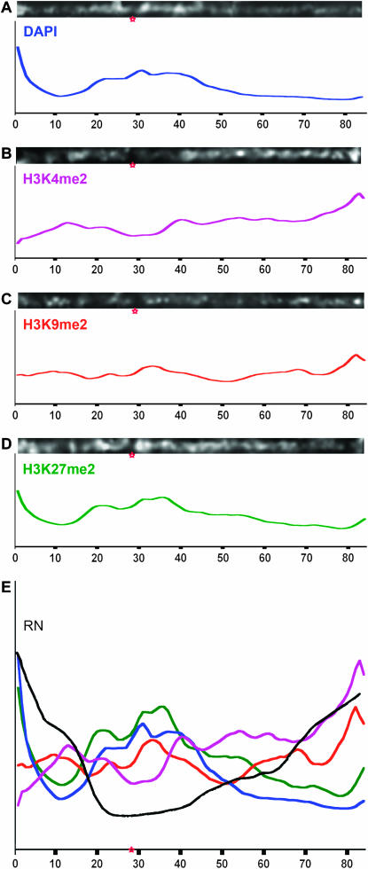 Figure 2.—