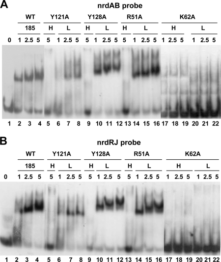 FIG. 6.