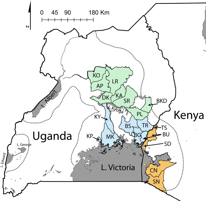 Fig 1