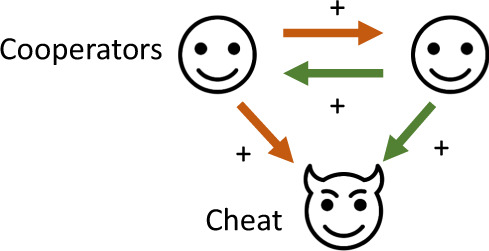 Box  1  Evolutionary  definitions  for  cooperation  and  cheating