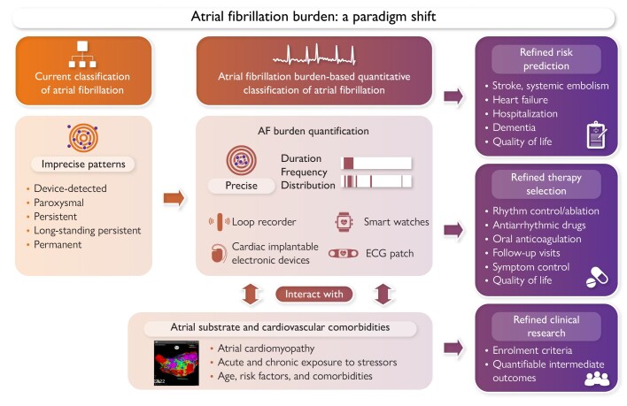 Graphical Abstract