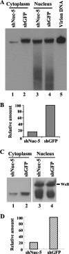 FIG. 7.