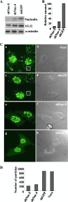 FIG. 9.