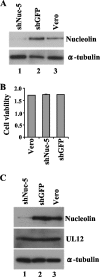 FIG. 5.