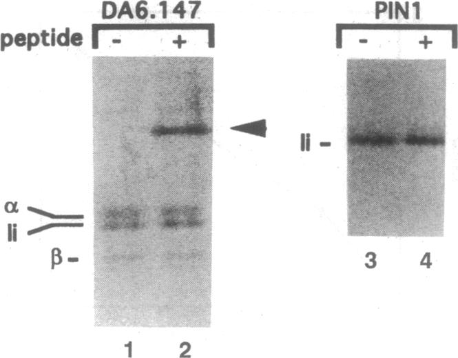 graphic file with name pnas01144-0249-a.jpg