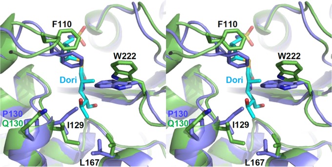 FIG 6