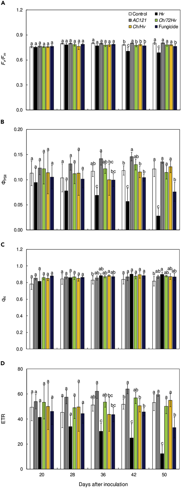 Figure 4