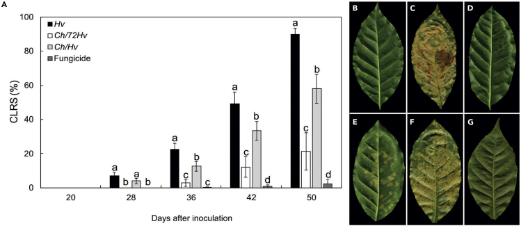 Figure 2