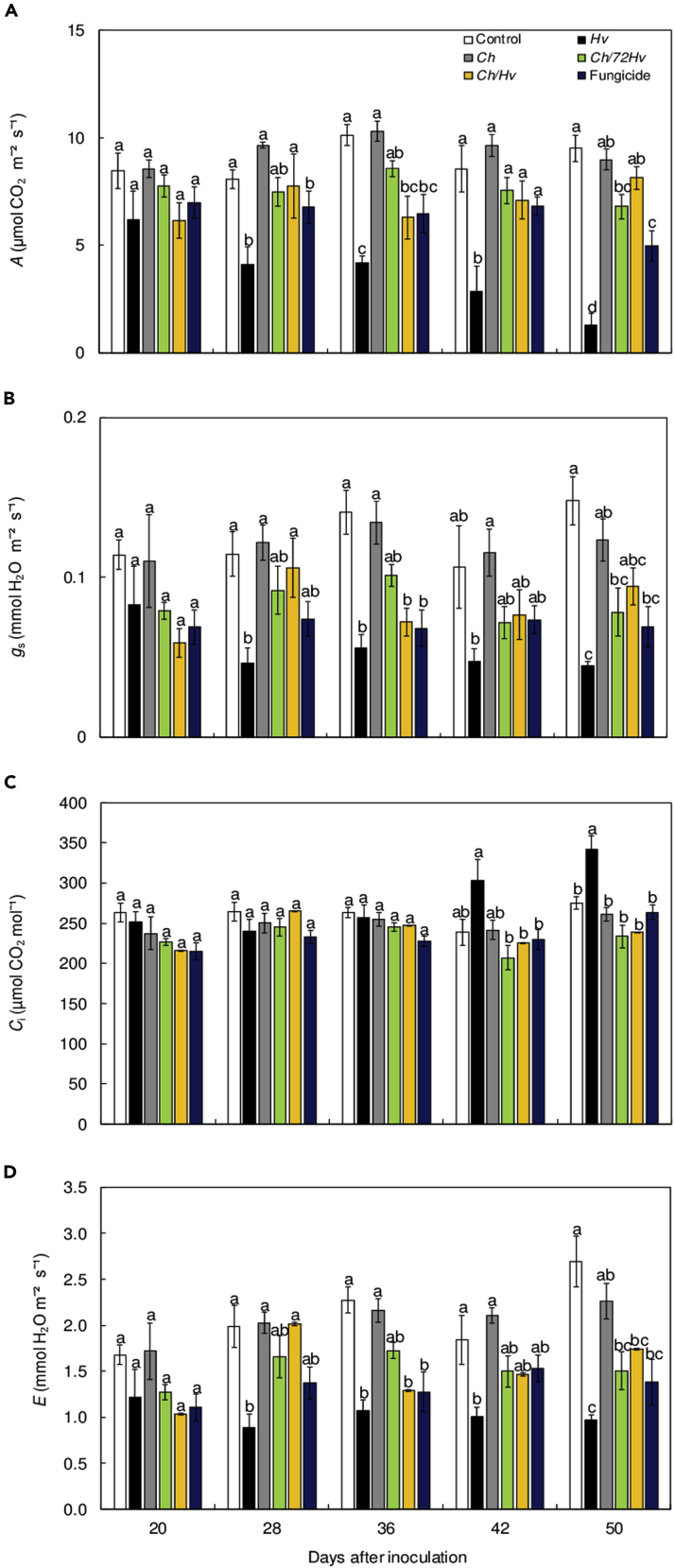 Figure 5