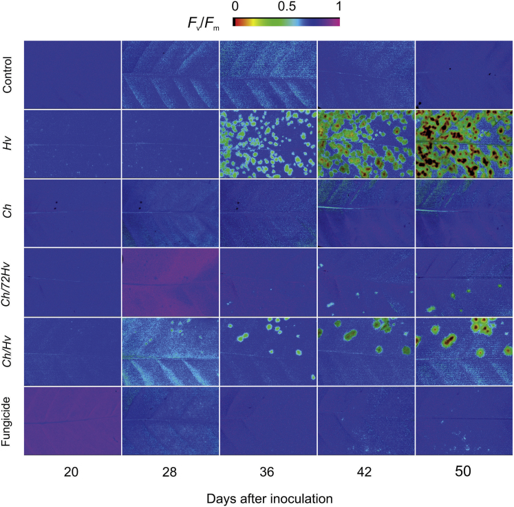 Figure 3