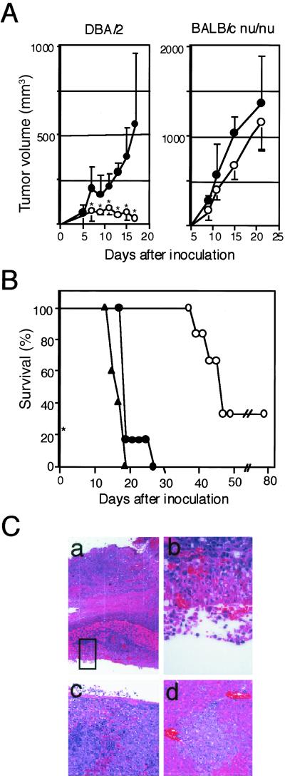 Fig 2.