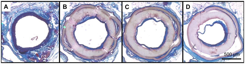 Figure 8