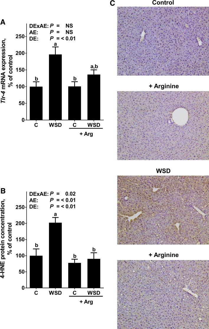 Fig. 4