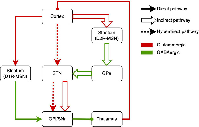 FIGURE 1