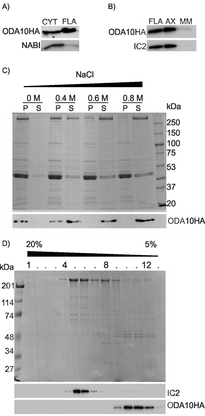 FIGURE 2: