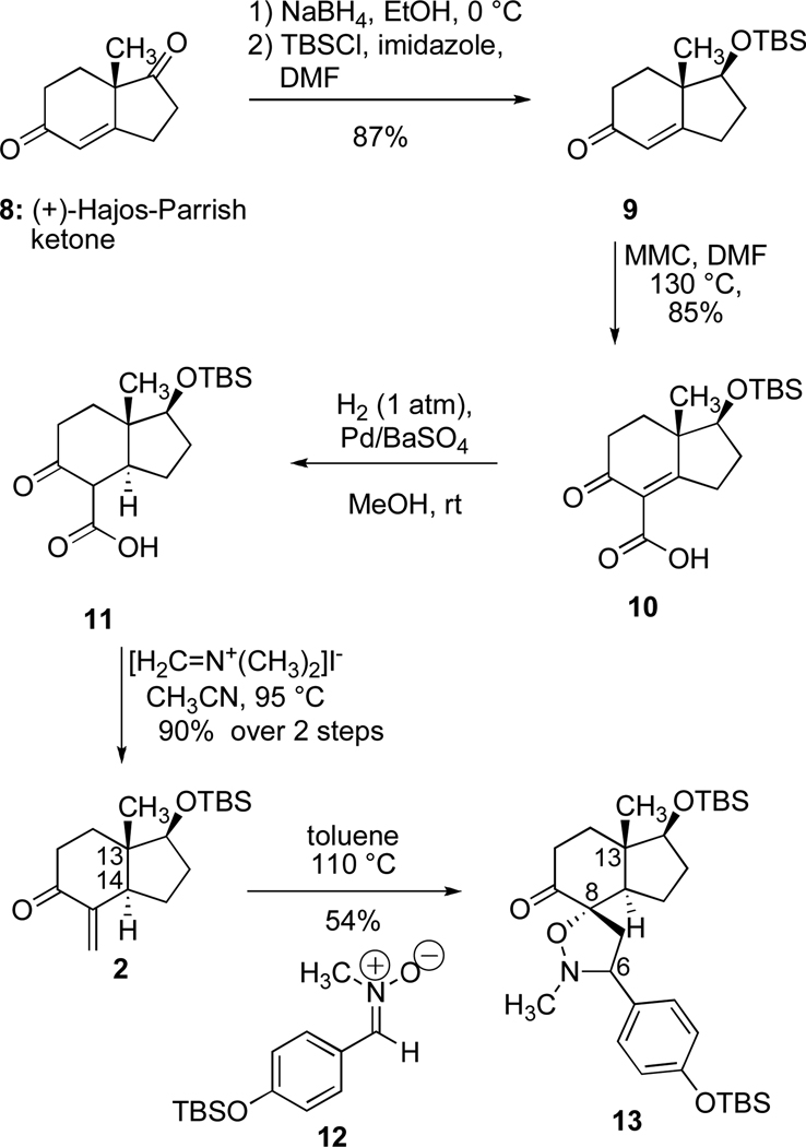 Scheme 2