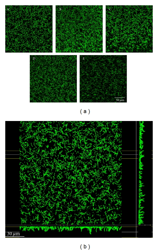 Figure 10