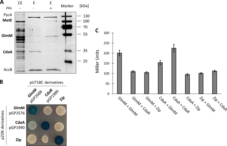 FIG 3