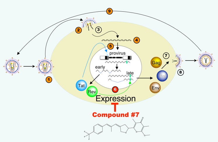 Figure 7