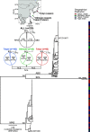FIG 1