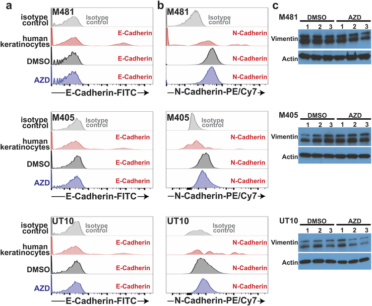 Extended Data Figure 4.