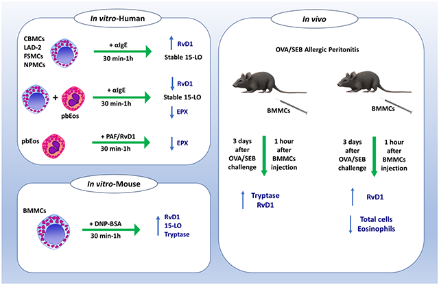 graphic file with name nihms-1875331-f0001.jpg