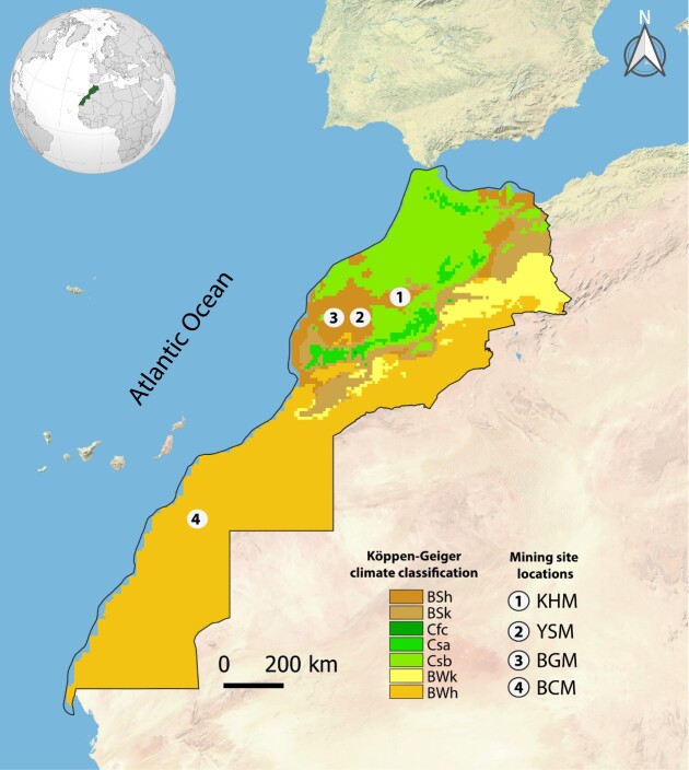 Figure 3.