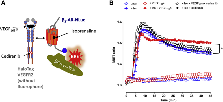 Figure 7