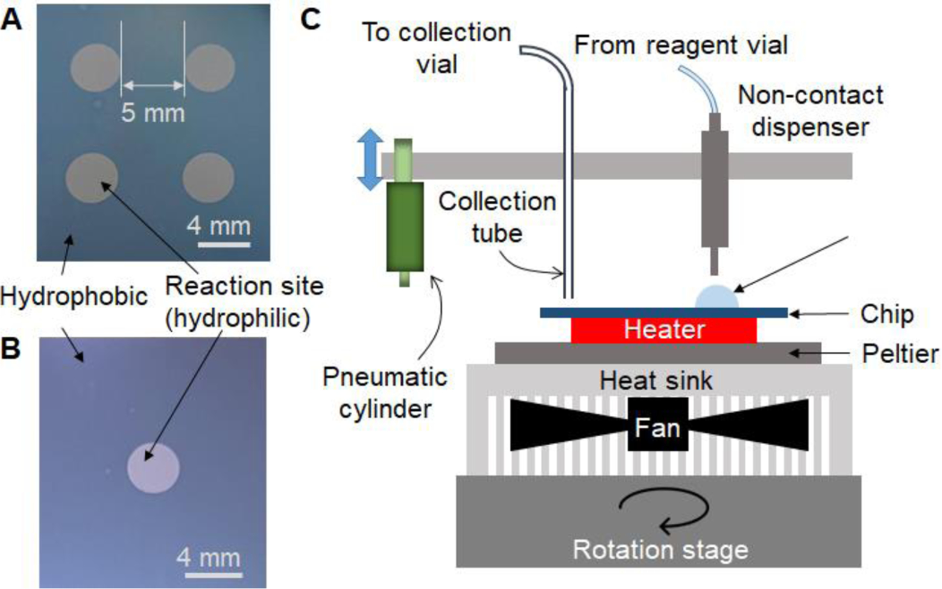 Figure 1: