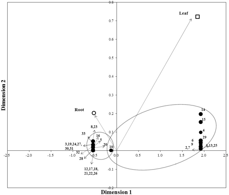 Fig. 2