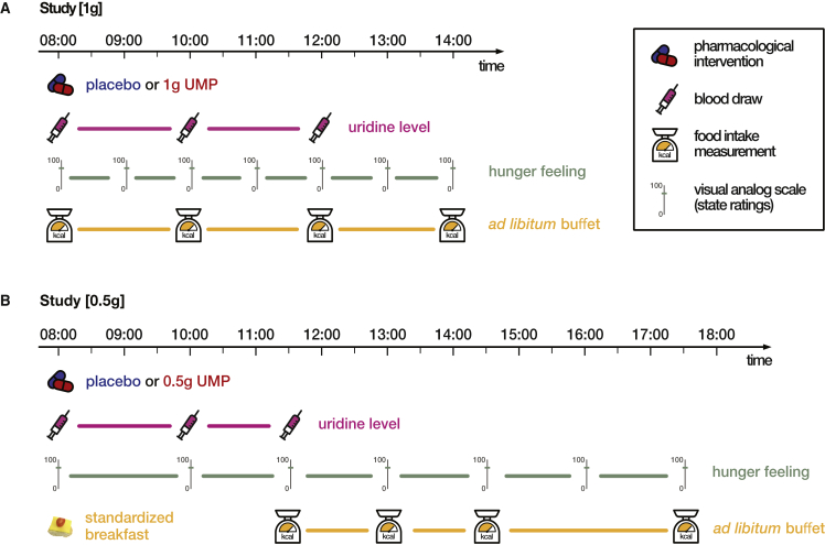 Figure 1