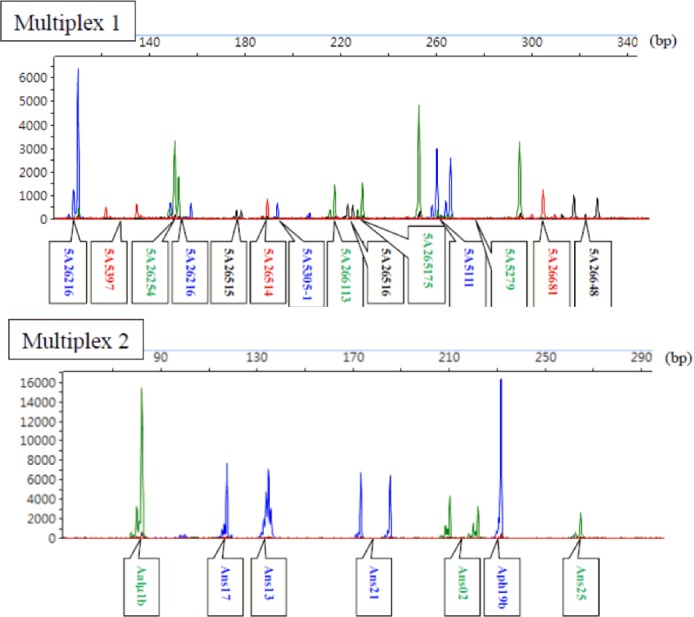 Figure 1