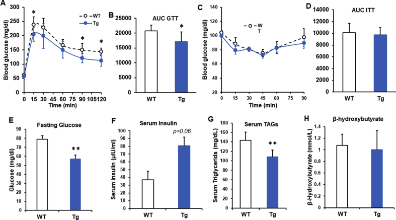 Figure 6