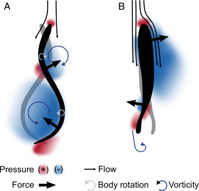 Fig. 7.