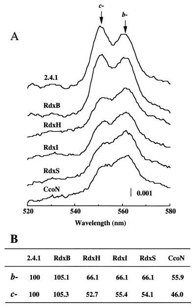 FIG. 5